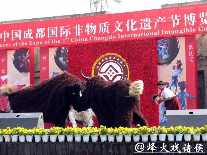 非遗四川 ｜平武虎牙藏族斗牦牛